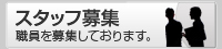 スタッフ募集